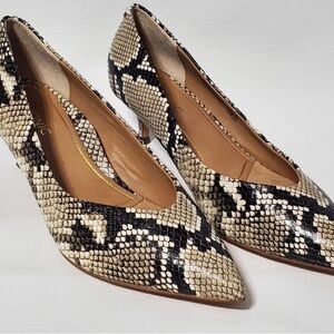 Snake-Print Pointed-Toe Pumps in Neutral Beige